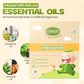 ENFANT Organic Cotton Buds - Dual-Tip Round & Spiral Safety Swabs (100% Pure Cotton)